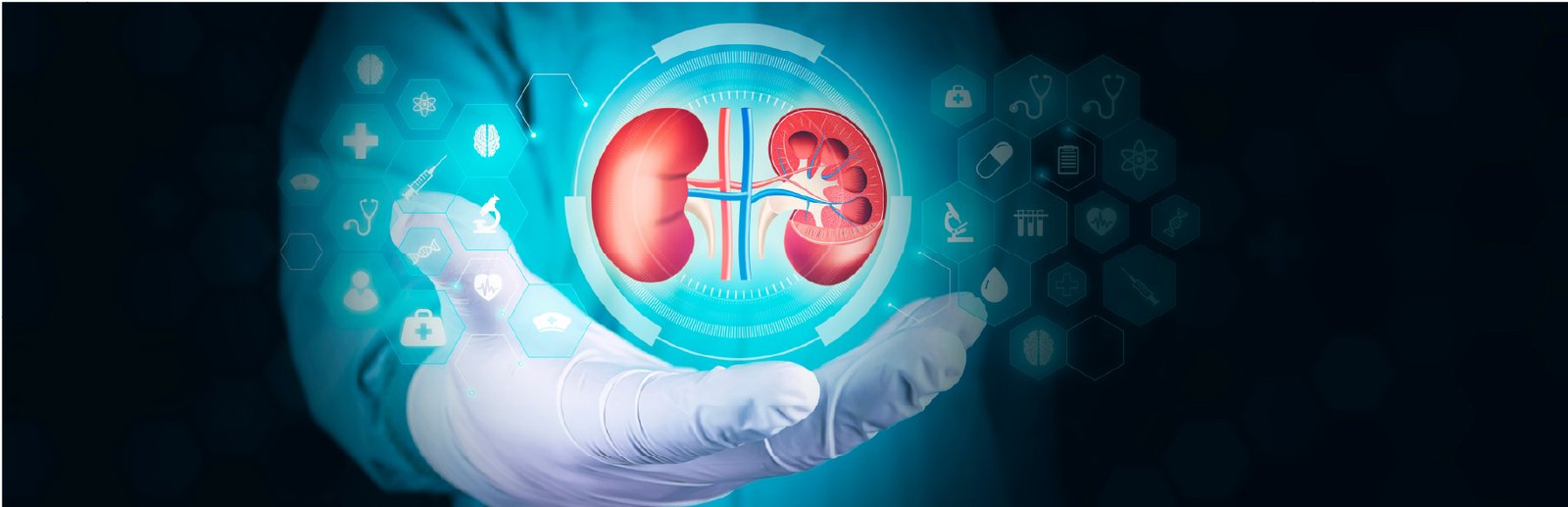 Urology & Andrology